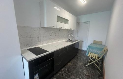 Sinnicoara Apartment | La Bogdan