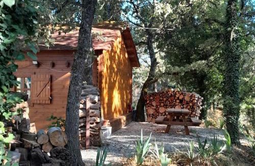 Tourves Ski Chalet | La cabane en bois