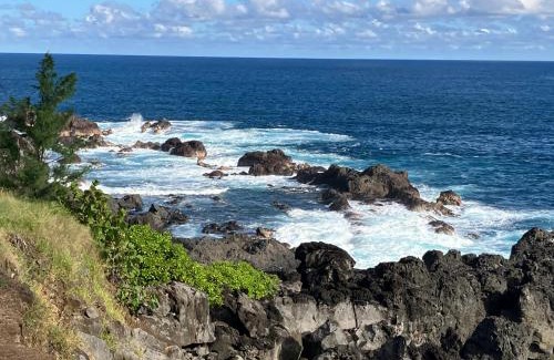 Saint-Pierre De La Reunion House | La Carangaise