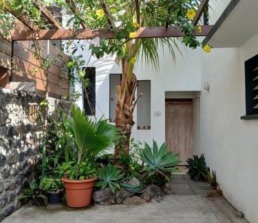 Saint-Pierre De La Reunion House | La Carangaise