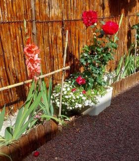 La Solana House | La casa de los naranjos