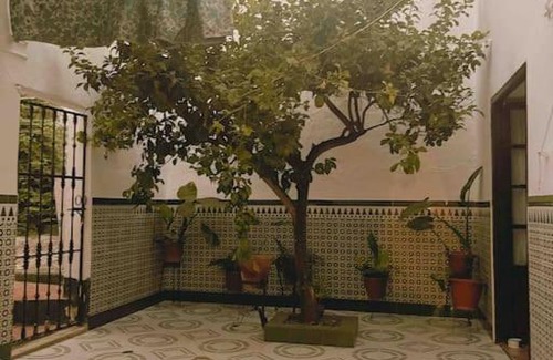 Baena House | La Casa de Manolita