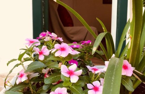 Sferracavallo House | La Casa di Cortile Rizzuto