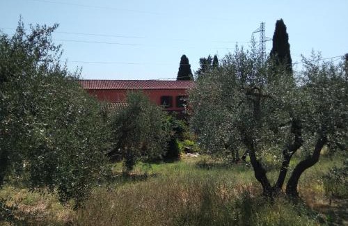 Selvatelle House | la casa di Rosa