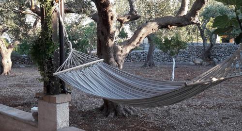 Patu House | La Casetta di Francesca