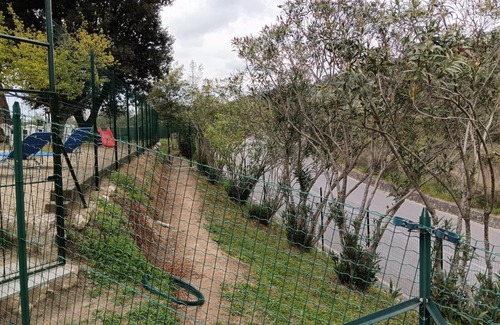 Massarosa House | La casina fra gli olivi