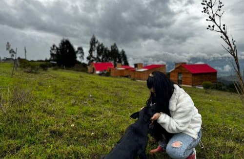 Tibasosa House | la cima de los frailejones