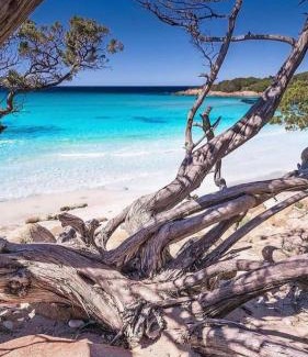 Vada Apartment | La Conchiglia sul Mare