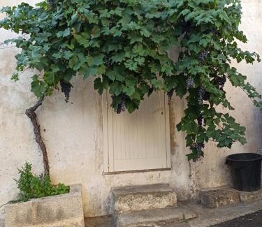 Melissano House | La dimora di Nella