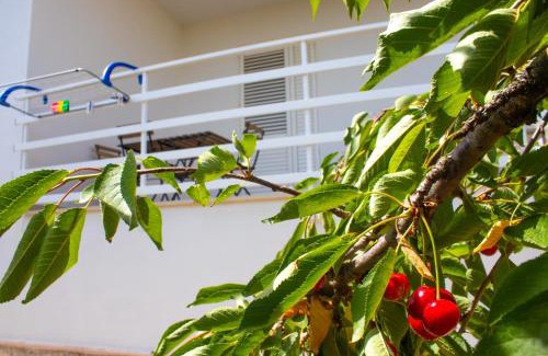 Conversano Apartment | La Dolce Vita - Oasi di Relax - Parcheggio Gratuito a Conversano