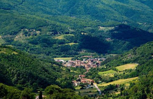 Dicomano Bed & Breakfast | La Felce e il Mirtillo