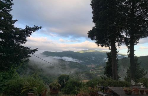 Dicomano Bed & Breakfast | La Felce e il Mirtillo