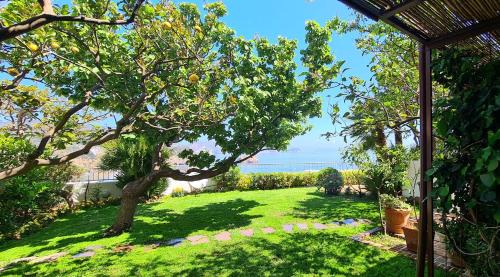 Ponza House | La Limonaia a mare
