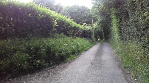 Saint-Sylvestre-de-Cormeilles Bed & Breakfast | La martre