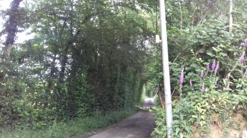 Saint-Sylvestre-de-Cormeilles Bed & Breakfast | La martre