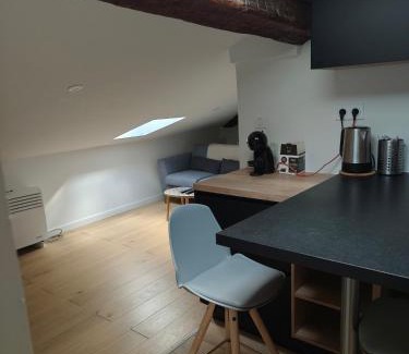 Victor Hugo District Apartment | LA MUSE HUGo