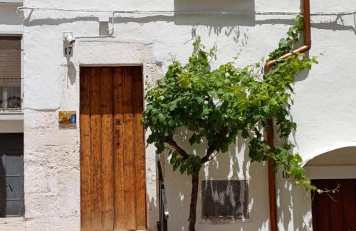 Castellana Grotte House | La Nicchia, appartamento con terrazza esclusiva