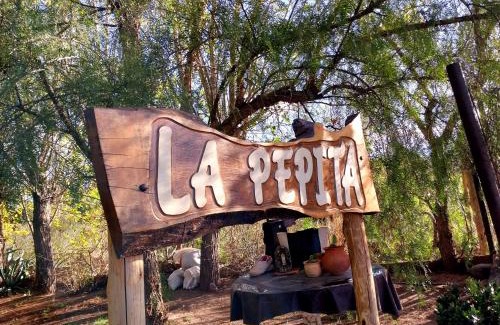 Las Compuertas Ski Chalet | La Pepita