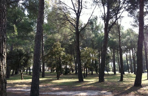 Saumane-de-Vaucluse Apartment | La pinede du Golf