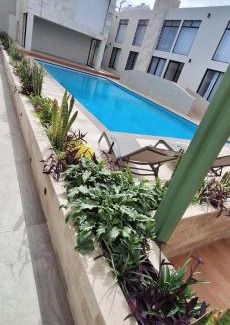 San Luis Potosi Hotel | La Posada Hotel y Suites