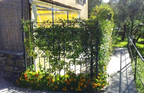 San Lorenzo della Costa Apartment | La Prima Torre Country - Garden & shared pool