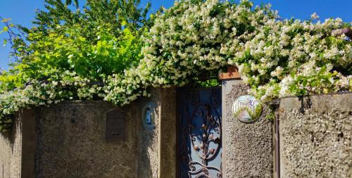 Anacapri House | La Primavera