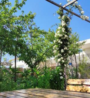 Anacapri House | La Primavera