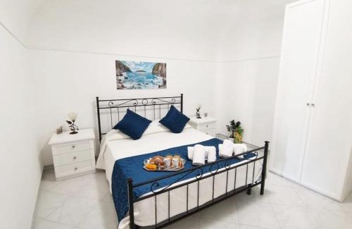 Termini Bed & Breakfast | La Rondine B&B