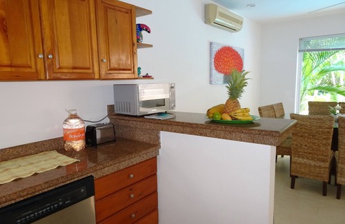 Puerto Aventuras House | La Salamandra