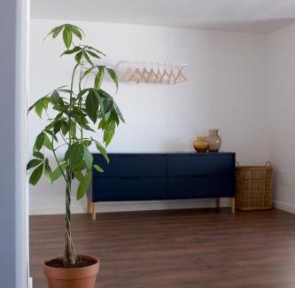 Puerto de la Cruz Apartment | La Terraza! Studio Apartment
