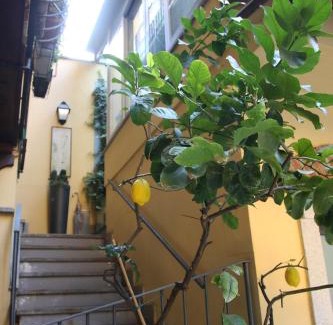 Seregno Apartment | La Terrazza dei Limoni