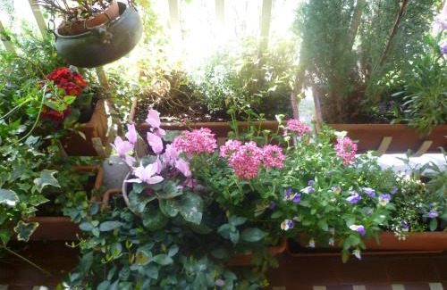 Vanchiglietta Bed & Breakfast | La Terrazza Sul Po
