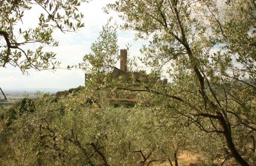 Montecchio Villa | La Torre