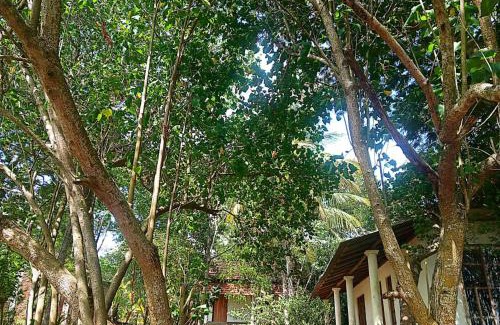 Tangalle Hotel | Lagoon Birds - Tangalle
