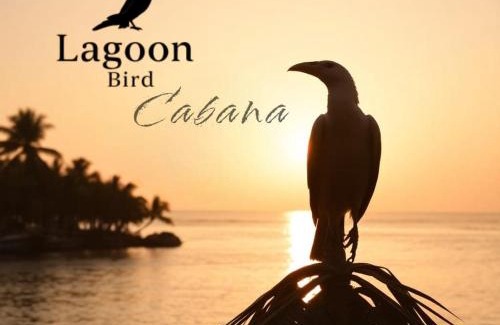 Tangalle Hotel | Lagoon Birds - Tangalle
