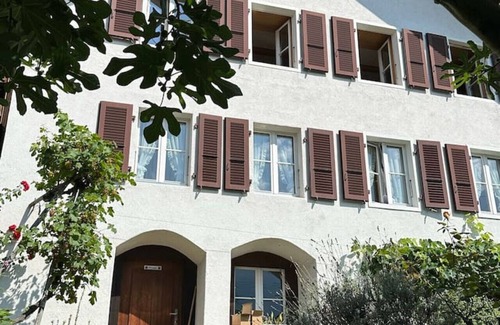 Niederried bei Interlaken Villa | Lakeview Swiss Chalet with Hot Tub near Interlaken