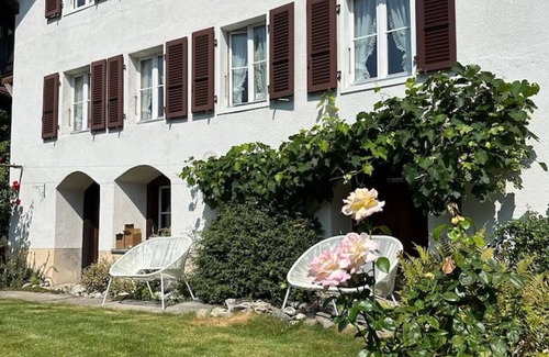 Niederried bei Interlaken Villa | Lakeview Swiss Chalet with Hot Tub near Interlaken