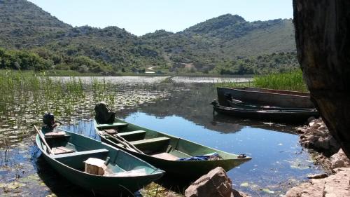 Dodosi House | Lake house Puro