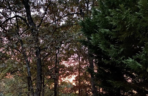 Cumming House | Lake Lanier Sunset Views - Month of June