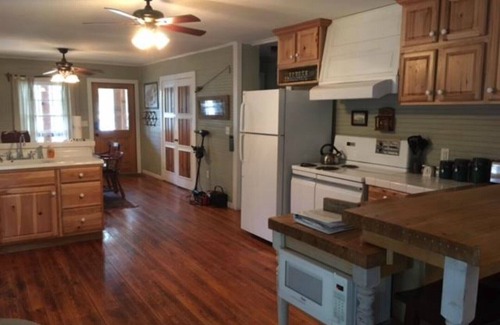 Canton Cabin | Lake Logan Serenity - lakeside cabin, pets welcome, hot tub, fishing, swimming