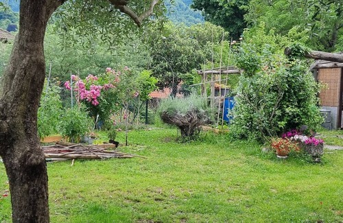 Castello Apartment | Lake Maggiore independent apartment max 2-3 people. Beaches, treks, relaxation and sun