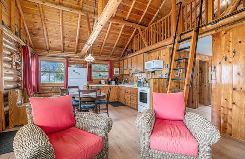 Empire Cabin | Lakefront cabin with 100 ft of Lake Michigan beach, full kitchen, loft, & deck