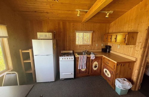 Ely Cabin | Lakefront Cabin with Pontoon & Fishing Boat Access