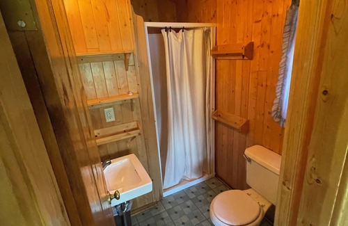 Ely Cabin | Lakefront Cabin with Pontoon & Fishing Boat Access