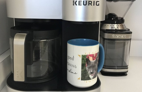 Ortonville House | Lakefront Home + Guest House Sleeps 16 Year-Round Fishing