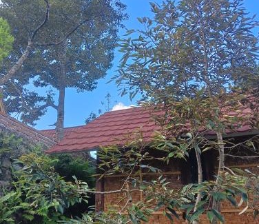 Tetebatu Cabin | Lalinggo Bungalow