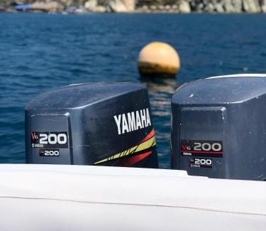 El Rodadero Boat Rental | lancha deportiva stand by me
