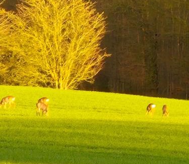 Blekendorf House | Landhof Paradies