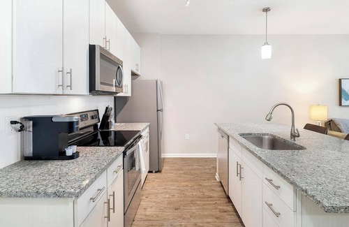 Land O' Lakes Apartment | Landing | Modern 1BD, Clubhouse, Gym