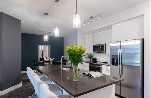 Port Tampa City Apartment | Landing Tampa Westshore